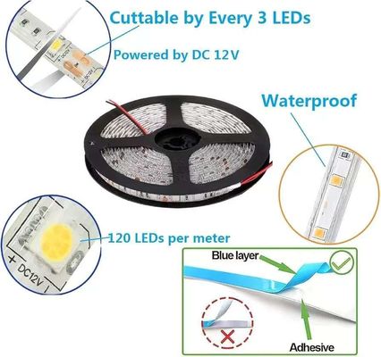 Flexible LED Strip Lights 600 Eenheden LEDs LED Strips Waterdicht 12 Volt LED Light Strips Pack van 16.4ft/5m voor vakantie Home Party Indoor Outdoor Decoration Waterdicht Wit 1 Pack