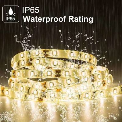 Flexible LED Strip Lights 600 Eenheden LEDs LED Strips Waterdicht 12 Volt LED Light Strips Pack van 16.4ft/5m voor vakantie Home Party Indoor Outdoor Decoration Waterdicht Wit 1 Pack