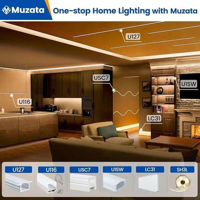 Buiten waterdicht 12/24V Silicone LED-lichtstrook voor huisdecoratie Neon LED-strooklichten Wit 16.4ft/5m Neon lichtstrook 12V Silicone waterdicht Flexibel LED-neon touwlichten voor slaapkamer festival