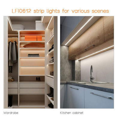24V/12V.DC 10W Custom Flexible Neon Light Strip Voor Decoratie van Plafondkamers